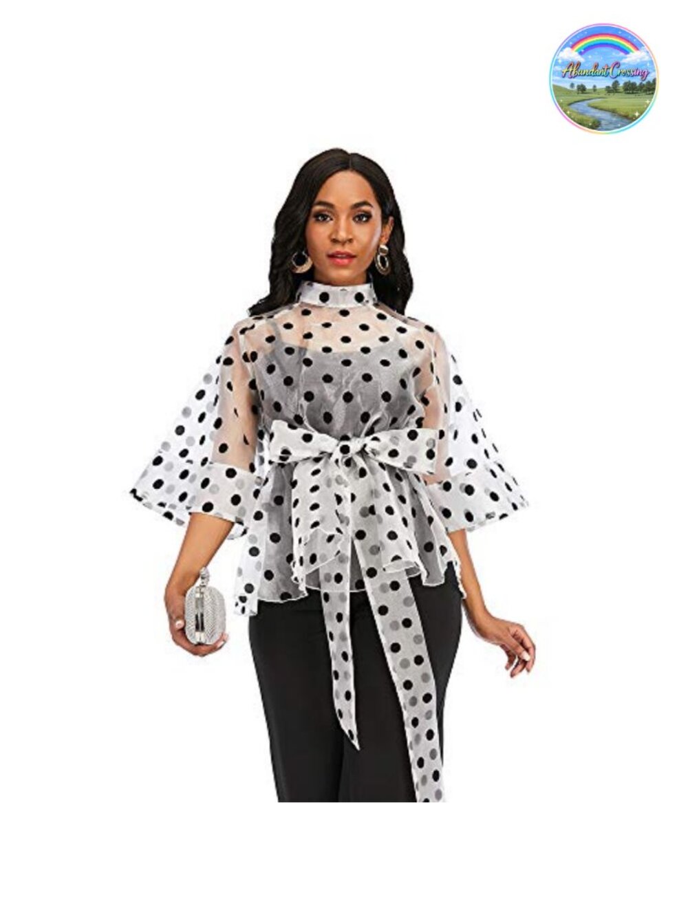 Women's Organza Stand Collar Polka Dot Sheer Peplum Blouse Tie Front